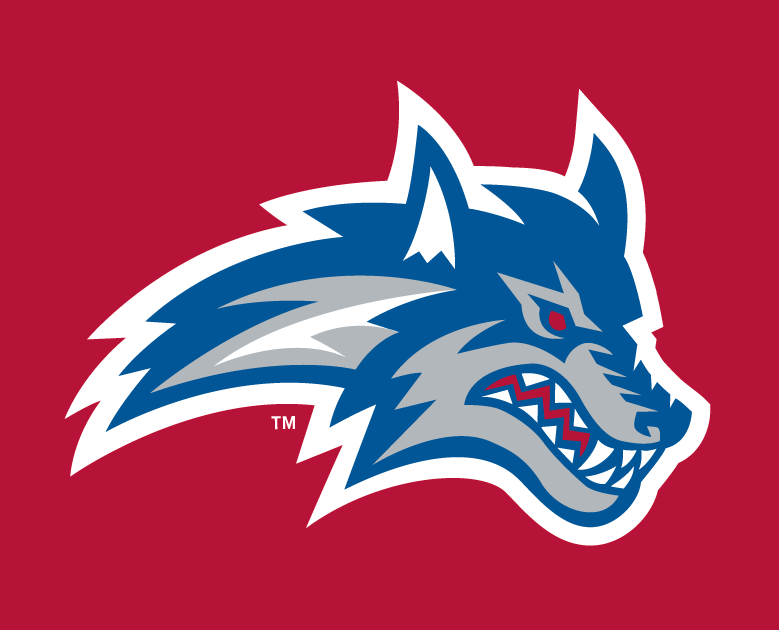 Stony Brook Seawolves 2008-Pres Alternate Logo v2 diy DTF decal sticker